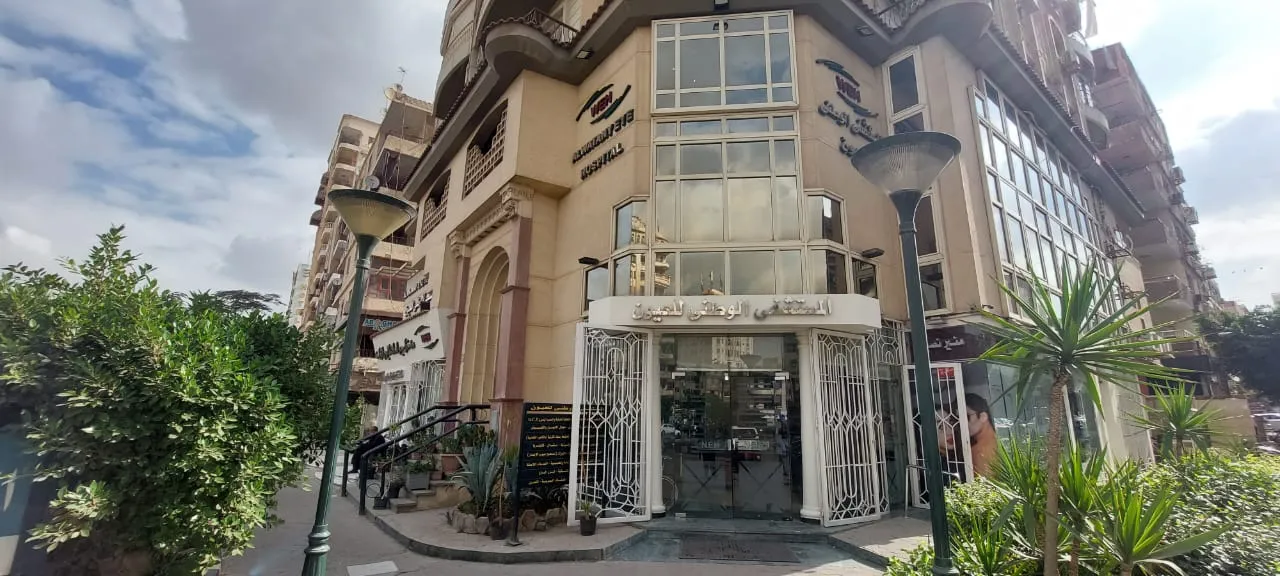 فرع الحجاز